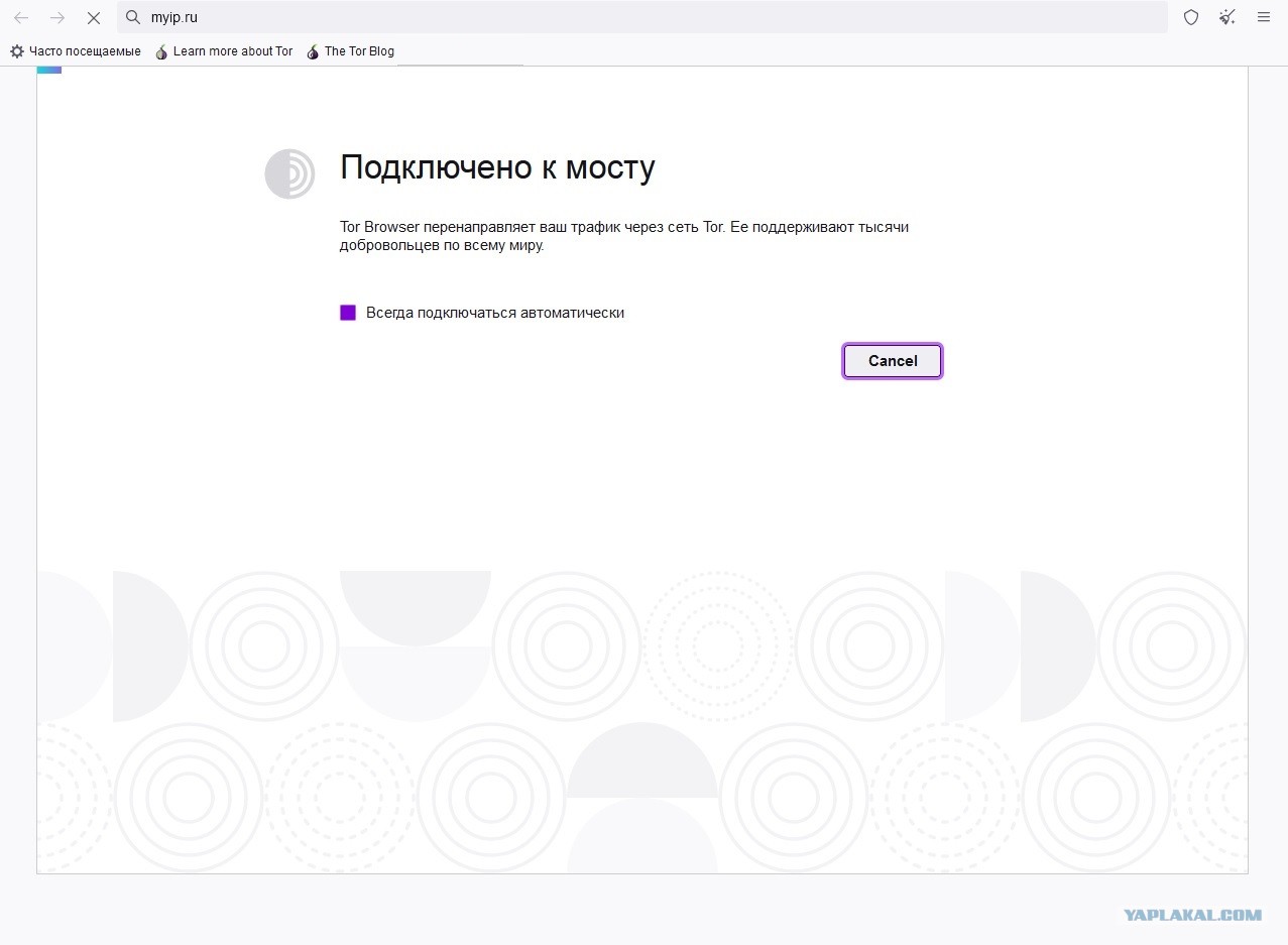 Ссылка на сайт кракен в тор браузере