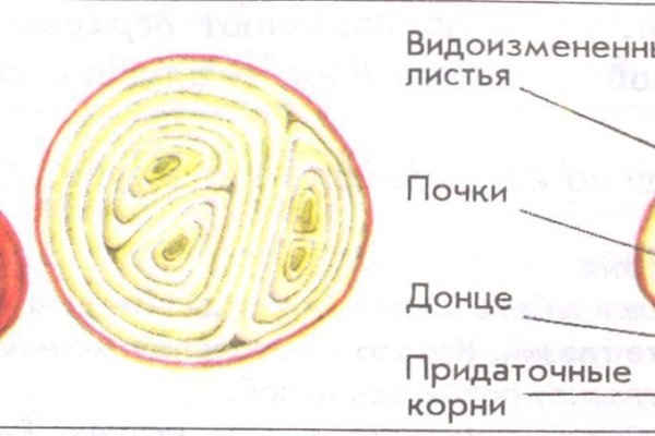 Kraken market зеркала