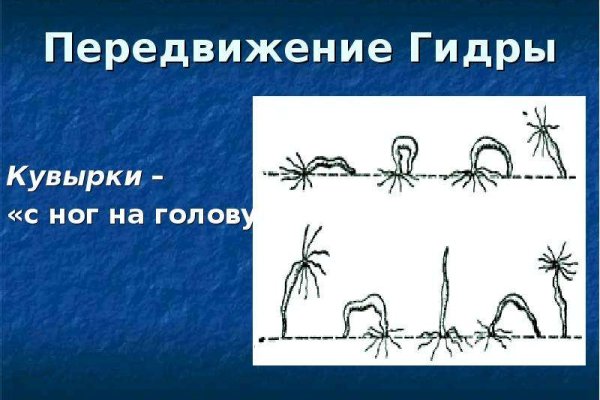 Ссылка кракен не работает
