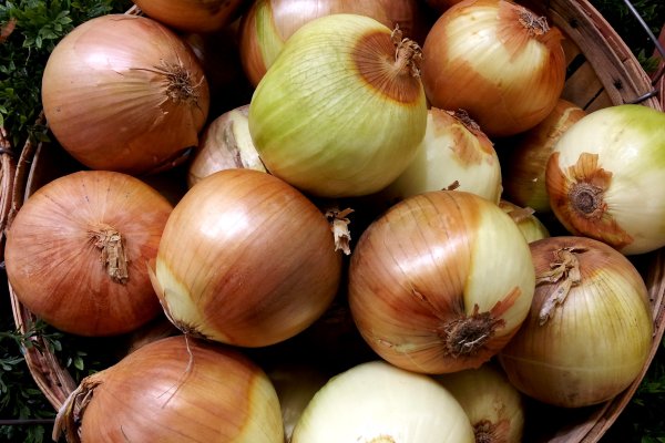 Kraken onion вход