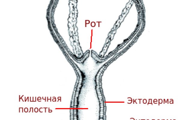 Кракен ссылка онлайн