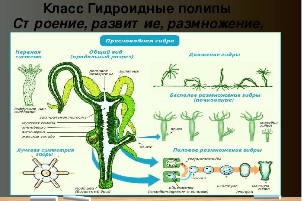Кракен маркет что это