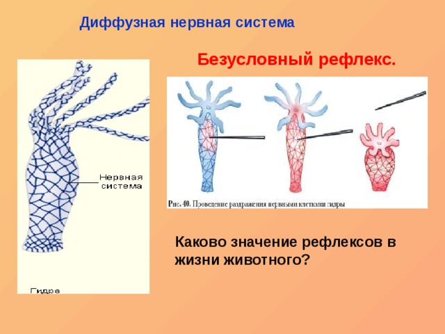 Кракен ссылка список
