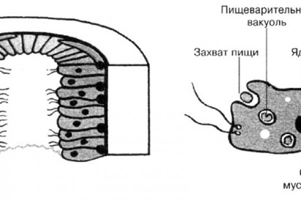 Кракен клирнет ссылка
