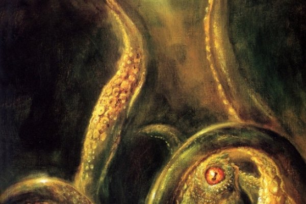 Как подключиться к даркнету