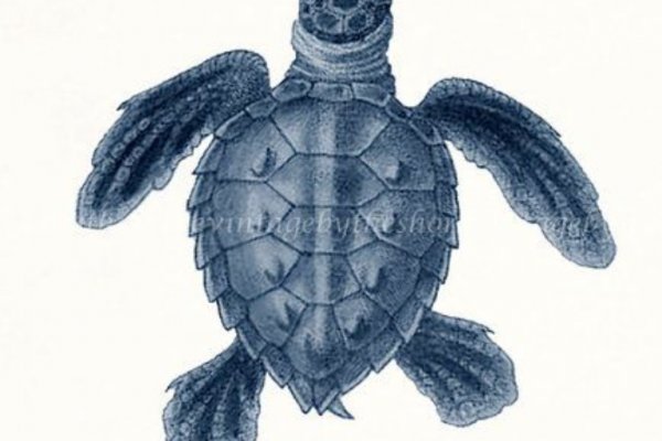 Кракен марке