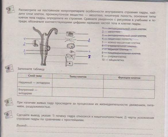 Кракен зеркало krakenat2krnkrnk com