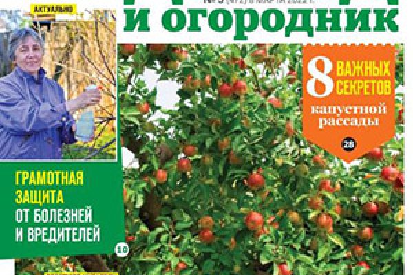 Что будет если зайти в кракен