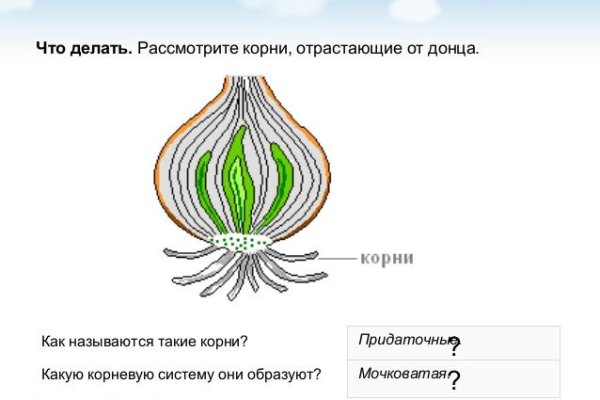 Кракен маркет тор
